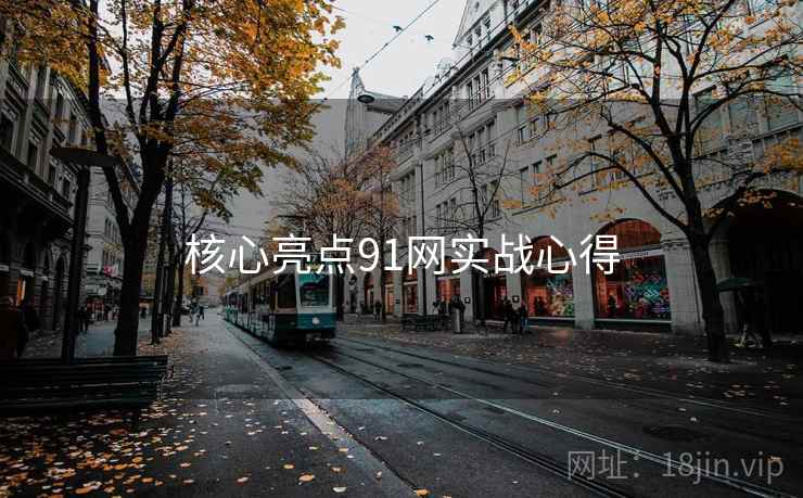 核心亮点91网实战心得