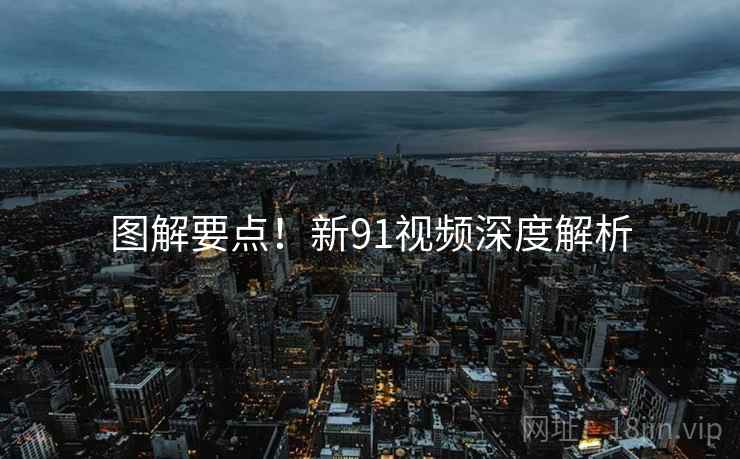 图解要点！新91视频深度解析