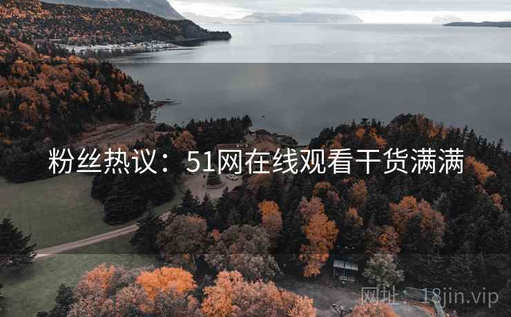 粉丝热议：51网在线观看干货满满