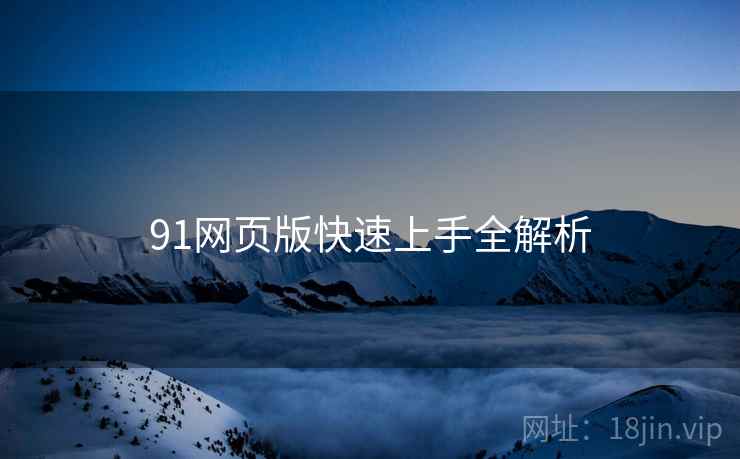 91网页版快速上手全解析