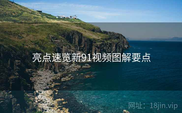 亮点速览新91视频图解要点 亮点速览新91视频图解要点